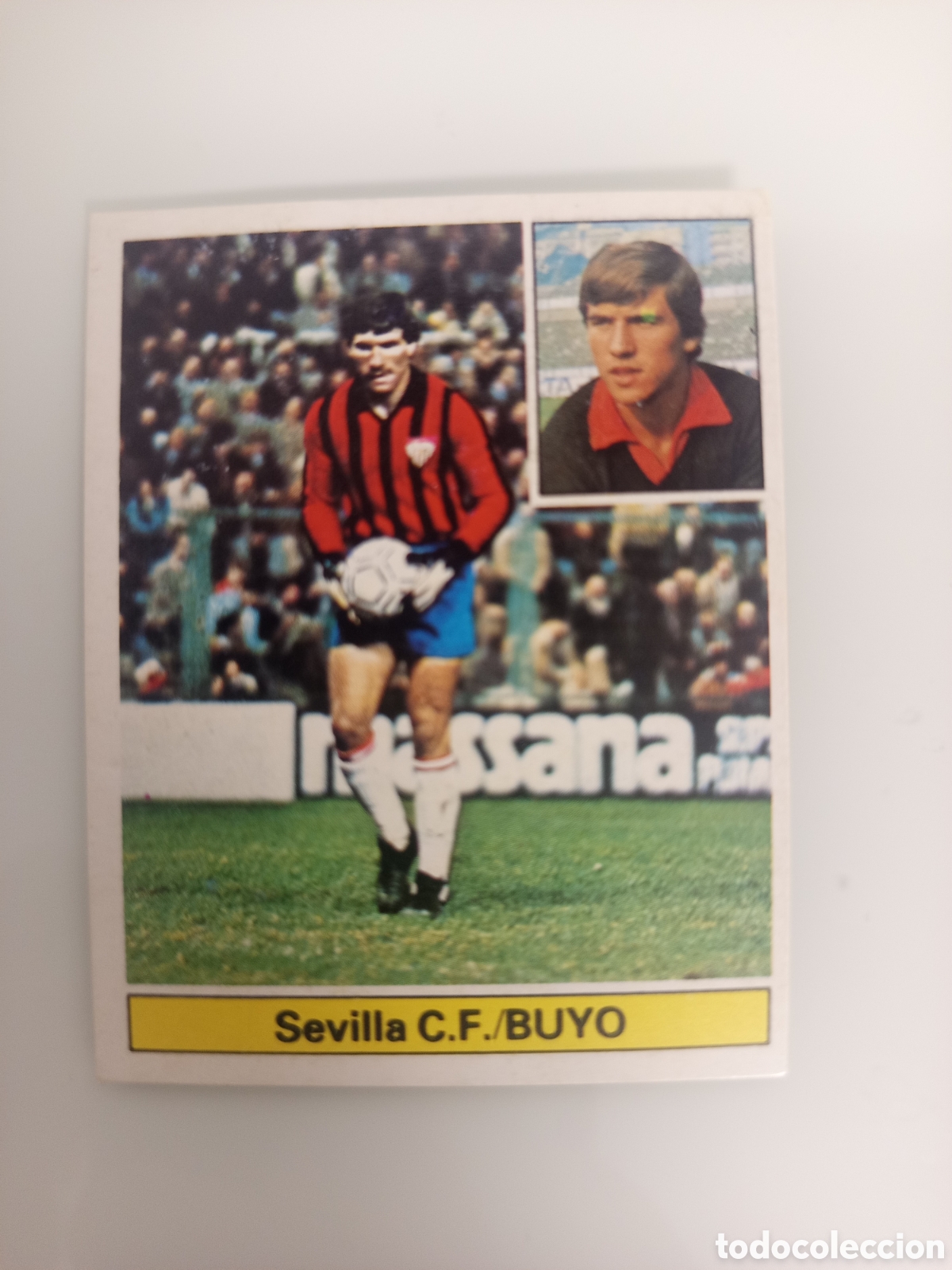 Cromos de F&uacute;tbol: ❇️ CROMO ⚽ BUYO SEVILLA 81 82 1981 1982 EDICIONES ESTE DESPEGADO DE &Aacute;LBUM ❇️