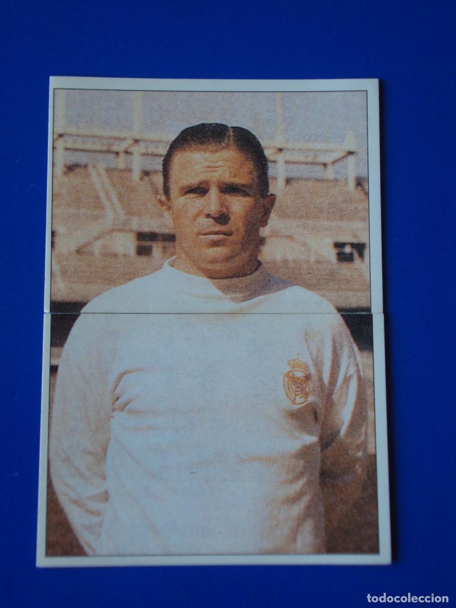 Cromos de F&uacute;tbol: CROMOS N&ordm; 135 136 FEREN&Ccedil; PUSKAS &Aacute;LBUM COLECCI&Oacute;N REAL MADRID 95 96 1995 1996 PANINI NUNCA PEGADO