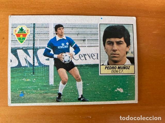 Figurine di Calcio: PEDRO MU&Ntilde;OZ ELCHE 84-85 ESTE COLOCA SIN PEGAR