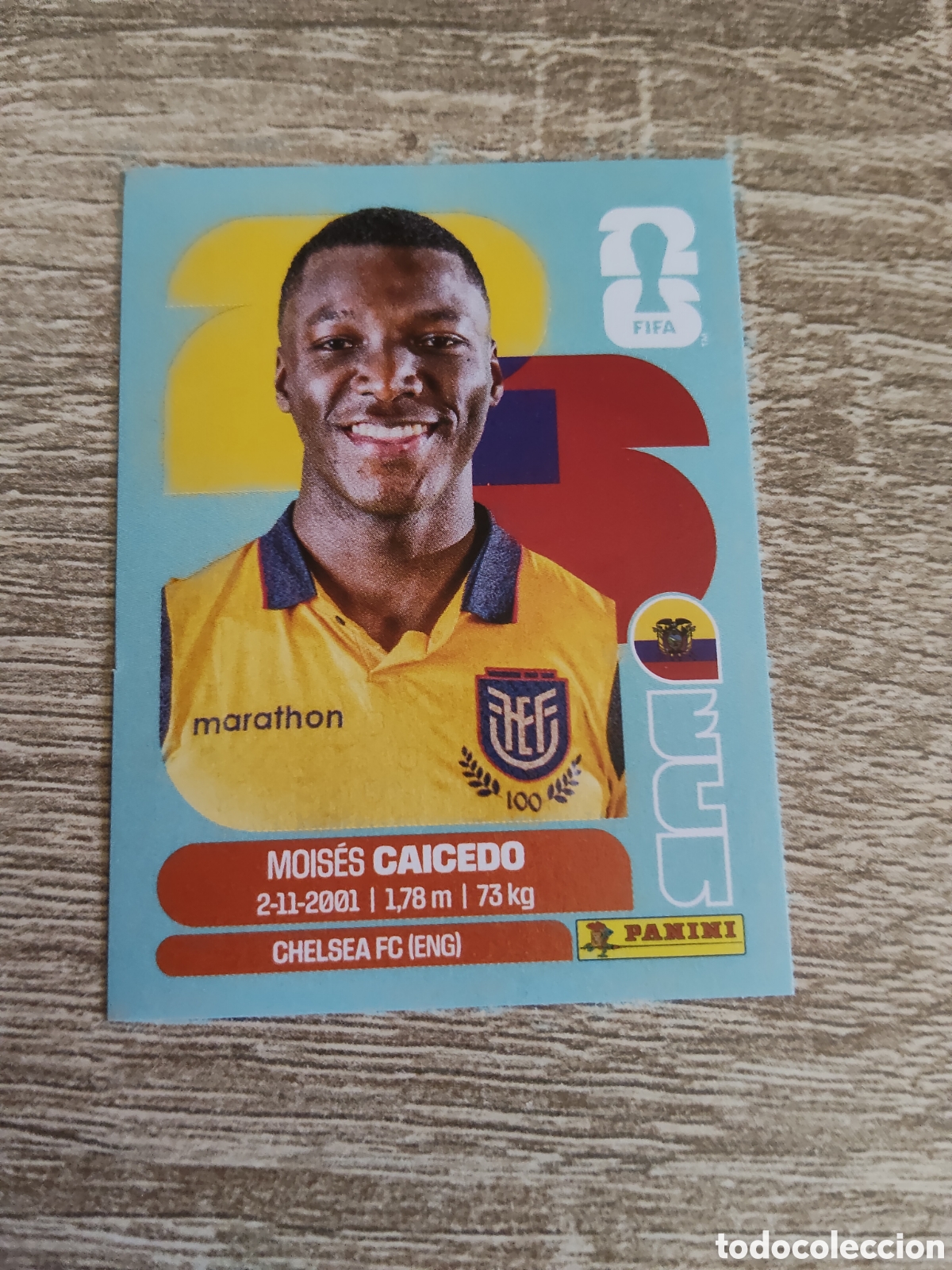 Cromos de F&uacute;tbol: Panini mundial 2026 ECU 9 Mois&eacute;s Caicedo Ecuador