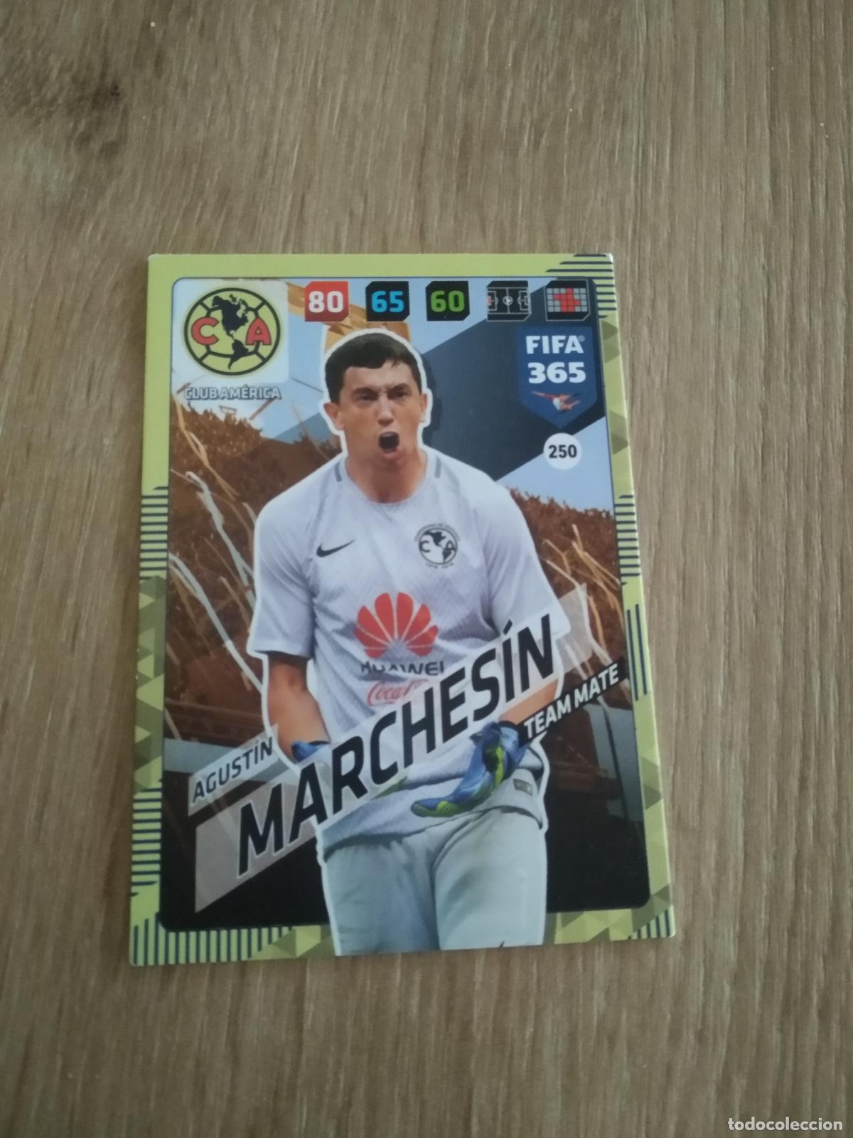 Cromos de F&uacute;tbol: 250 MARCHESIN CLUB AMERICA CROMO FUTBOL PANINI ADRENALYN 17-18 FIFA 365 2017-2018