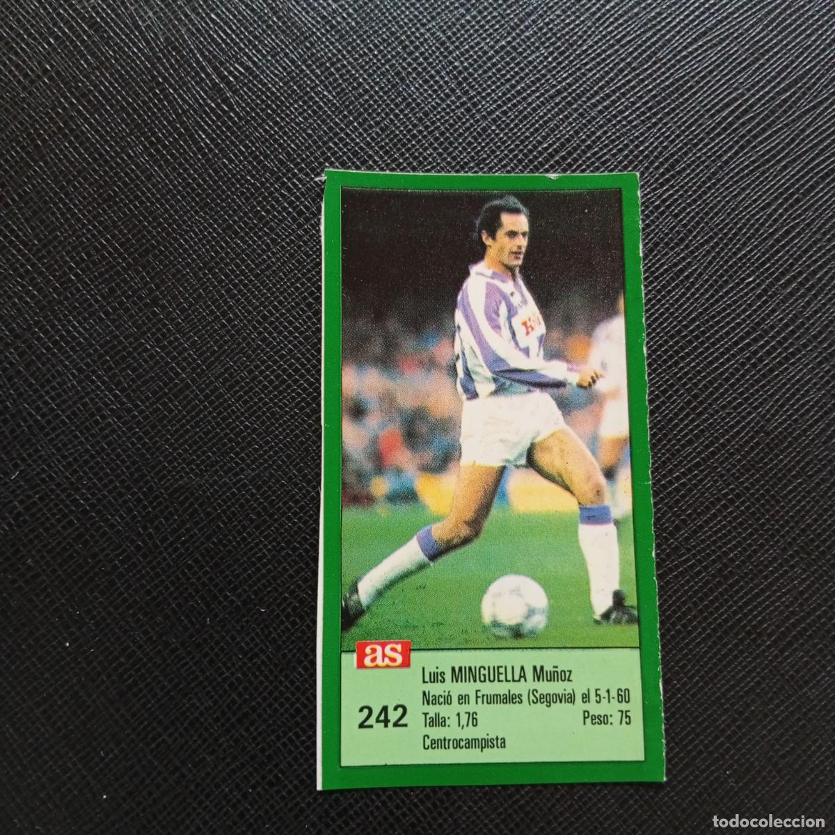 Cromos de F&uacute;tbol: 242 MINGUELLA VALLADOLID AS 1988 1989 CROMO FUTBOL LIGA 88 89 - SIN PEGAR - A103 PG325