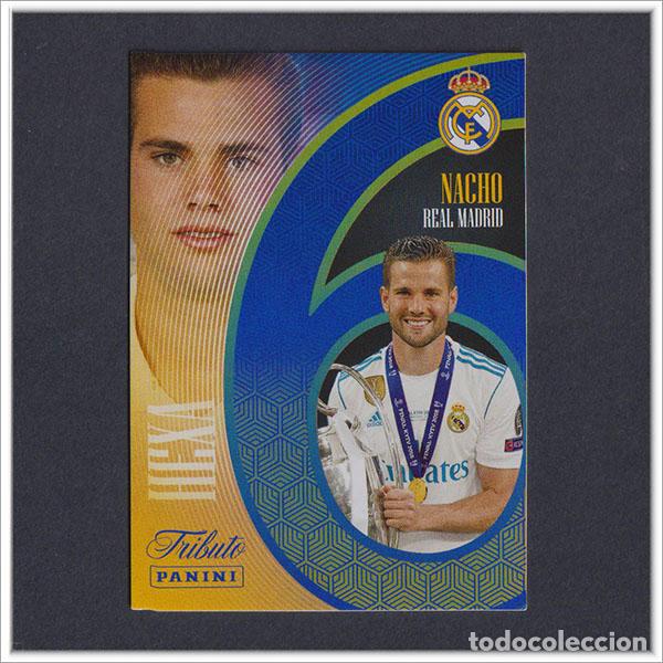 Cromos de F&uacute;tbol: TRIBUTO REAL MADRID 2023 2024 23 24 PANINI NACHO H4 HEXA CHAMPIONS LEAGUE COLECCI&Oacute;N - NO MEGACRACKS