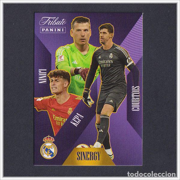 Cromos de F&uacute;tbol: TRIBUTO REAL MADRID 2023 2024 23 24 PANINI LUNIN KEPA COURTOIS 43 SINERGY COLECCI&Oacute;N - NO MEGACRACKS