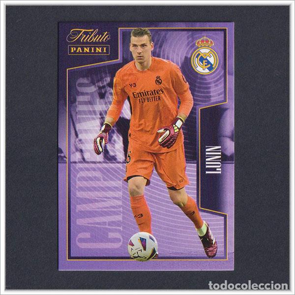 Cromos de F&uacute;tbol: TRIBUTO REAL MADRID 2023 2024 23 24 PANINI LUNIN 17 COLECCI&Oacute;N LIGA ALBUM - NO MEGACRACKS