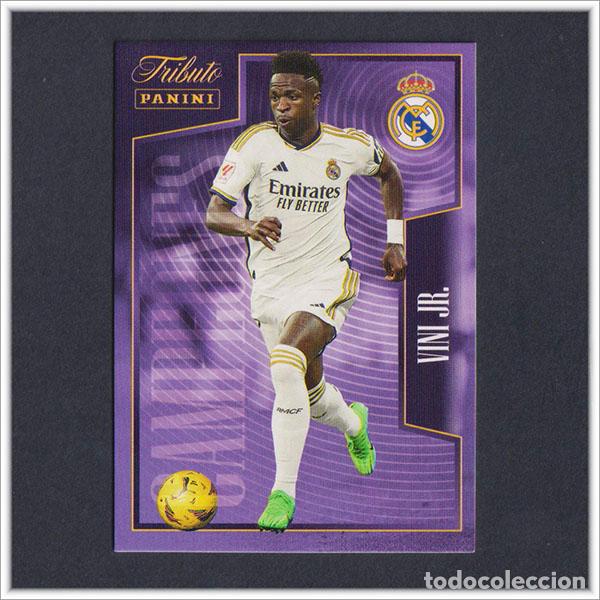 Figurine di Calcio: TRIBUTO REAL MADRID 2023 2024 23 24 PANINI VINICIUS 12 COLECCI&Oacute;N LIGA ALBUM - NO MEGACRACKS