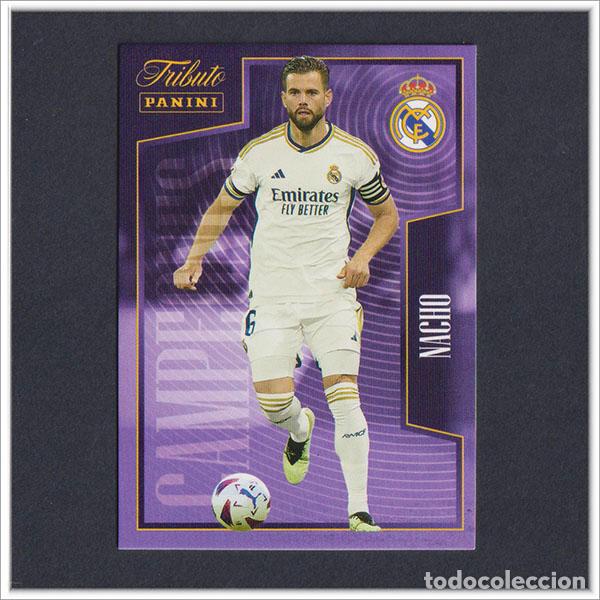 Figurine di Calcio: TRIBUTO REAL MADRID 2023 2024 23 24 PANINI NACHO 11 COLECCI&Oacute;N LIGA ALBUM - NO MEGACRACKS