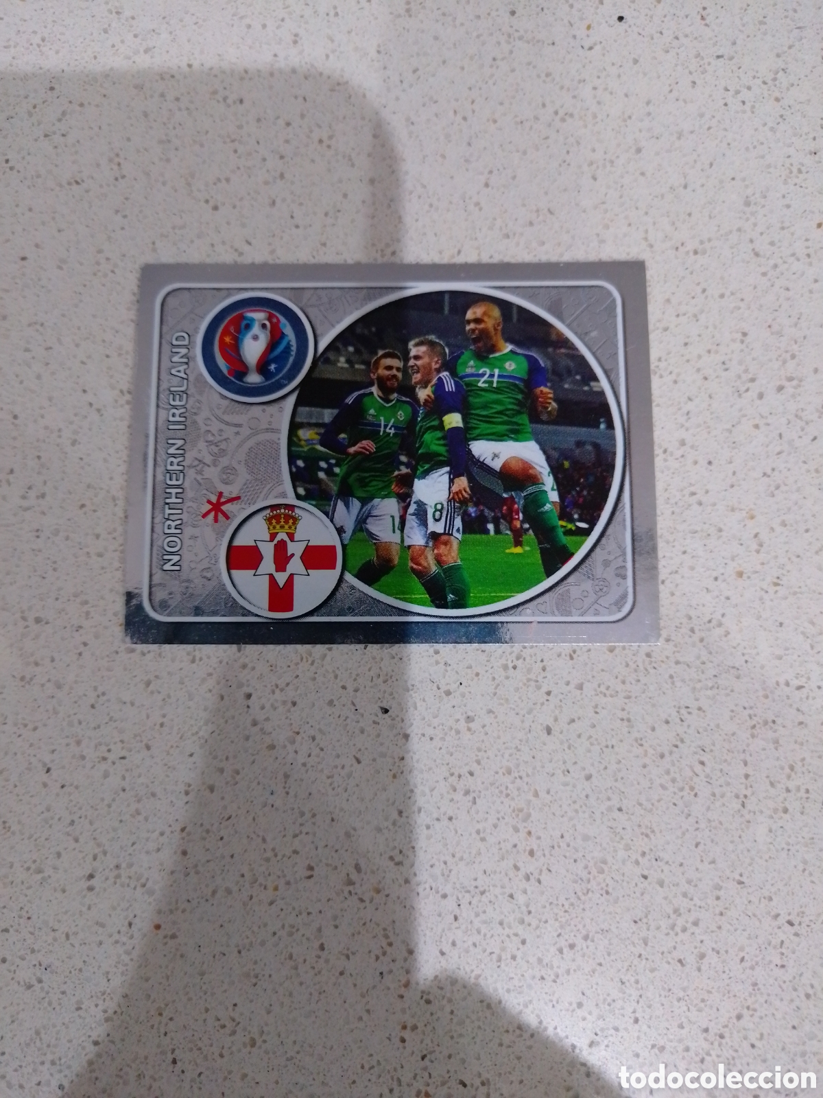 Figurine di Calcio: CROMO N&Uacute;MERO 239 EQUIPO IRLANDA DEL NORTE. EUROCOPA 2016 FRANCIA. PANINI