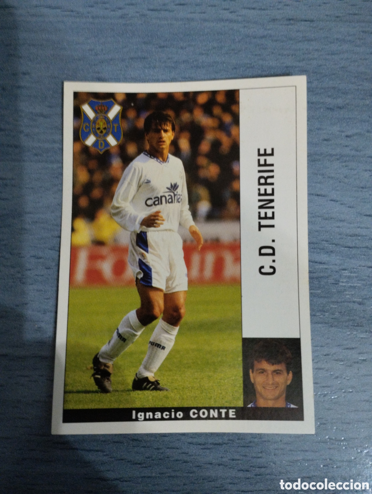 Cromos de F&uacute;tbol: Cromo Panini liga 95 96 conte Tenerife sin pegar