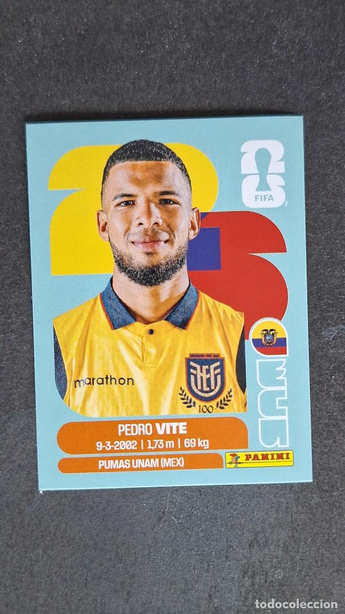 Cromos de F&uacute;tbol: L1 VITE SELECCION ECUADOR 12 MUNDIAL FIFA WORLD CUP 2026 PANINI NUNCA PEGADO SIN PEGAR