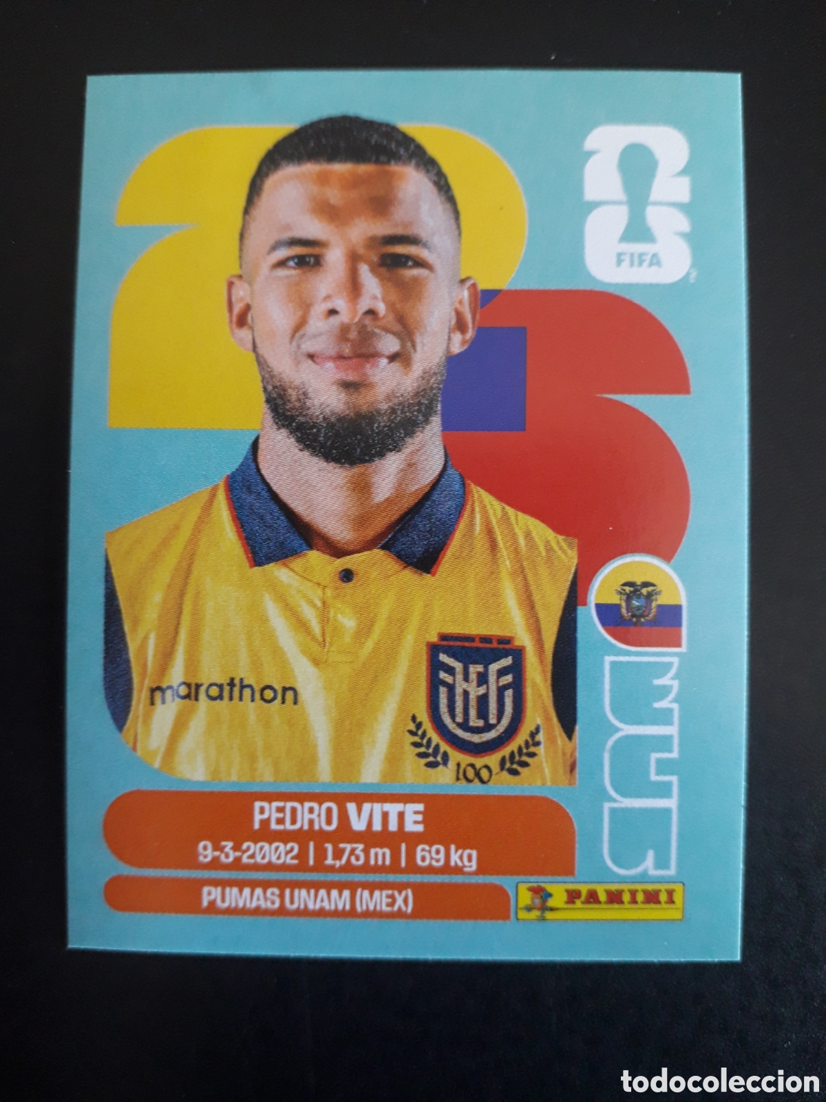 Cromos de F&uacute;tbol: VITE ECUADOR ECU 12 MUNDIAL F&Uacute;TBOL 2026 FIFA WORLD CUP PANINI SIN PEGAR PEDIDO M&Iacute;NIMO 3&euro;