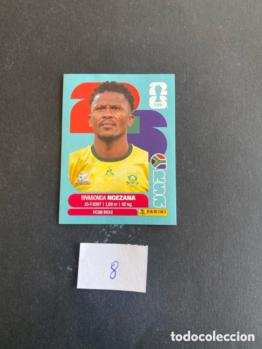 Cromos de F&uacute;tbol: Cromo Sud&aacute;frica Mundial 26 N* 8 nuevo