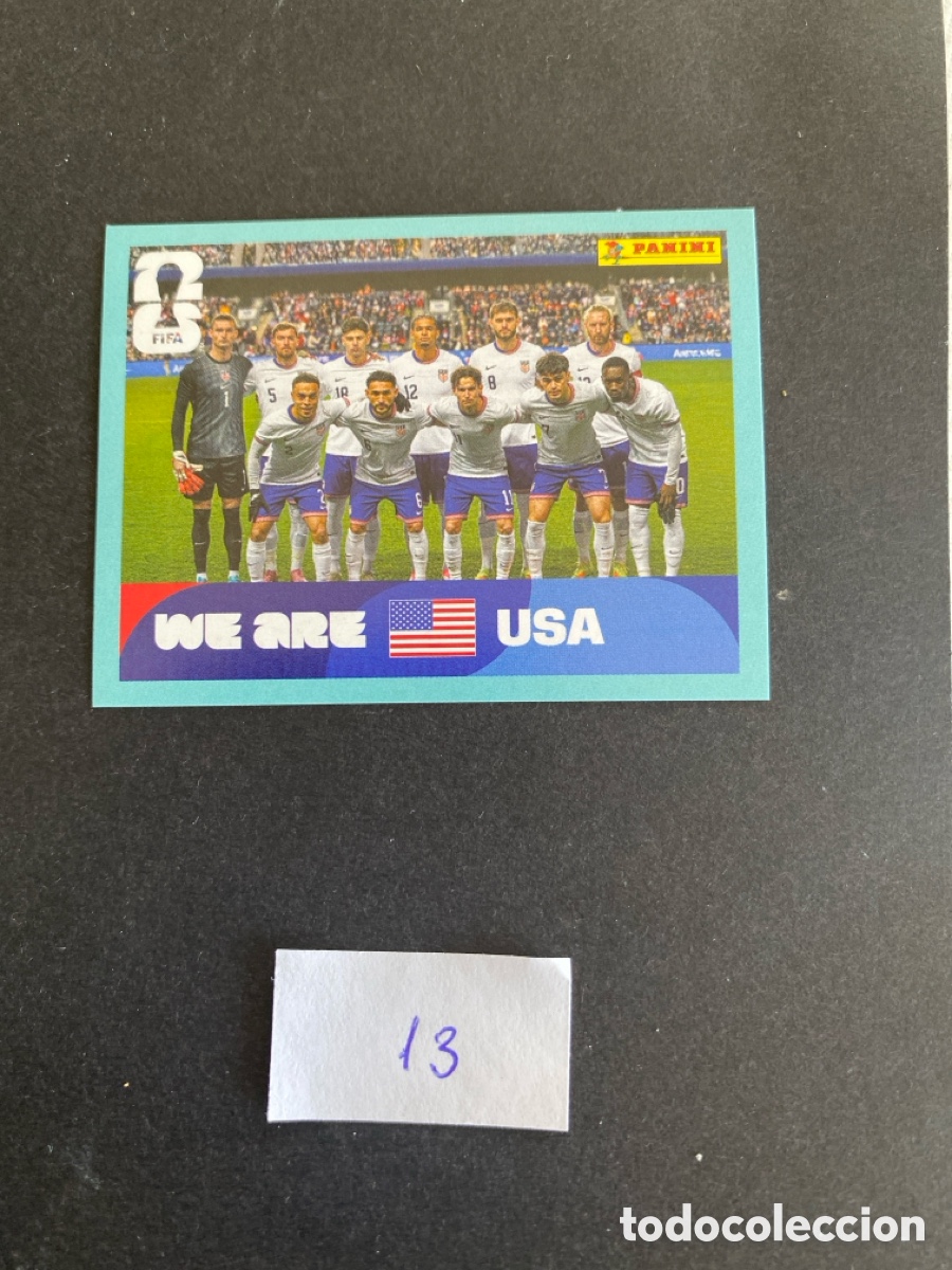 Cromos de F&uacute;tbol: Cromo USA Mundial 26 N*13 nuevo