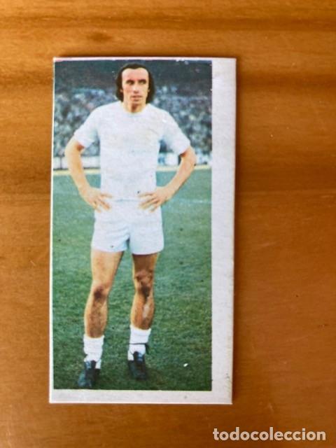 Cromos de F&uacute;tbol: ROBERTO MARTINEZ 75-76 ESTE RECUPERADO