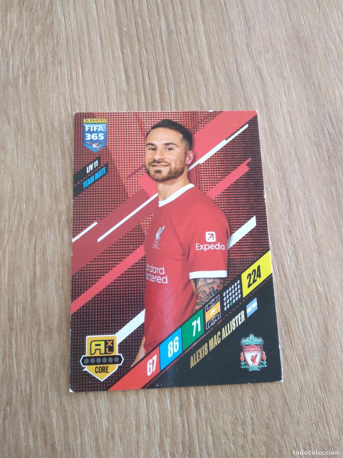 Football Stickers: LIV 11 MAC ALLISTER LIVERPOOL CROMO FUTBOL PANINI ADRENALYN 23-24 FIFA 365 2023-2024