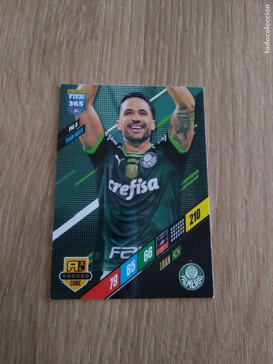 Football Stickers: PAL 8 LUAN PALMEIRAS CROMO FUTBOL PANINI ADRENALYN 23-24 FIFA 365 2023-2024