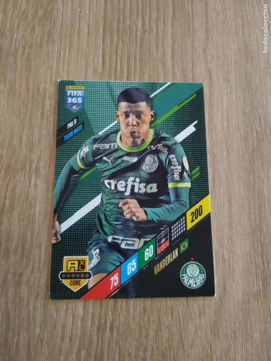 Football Stickers: PAL 9 VANDERLAN PALMEIRAS CROMO FUTBOL PANINI ADRENALYN 23-24 FIFA 365 2023-2024