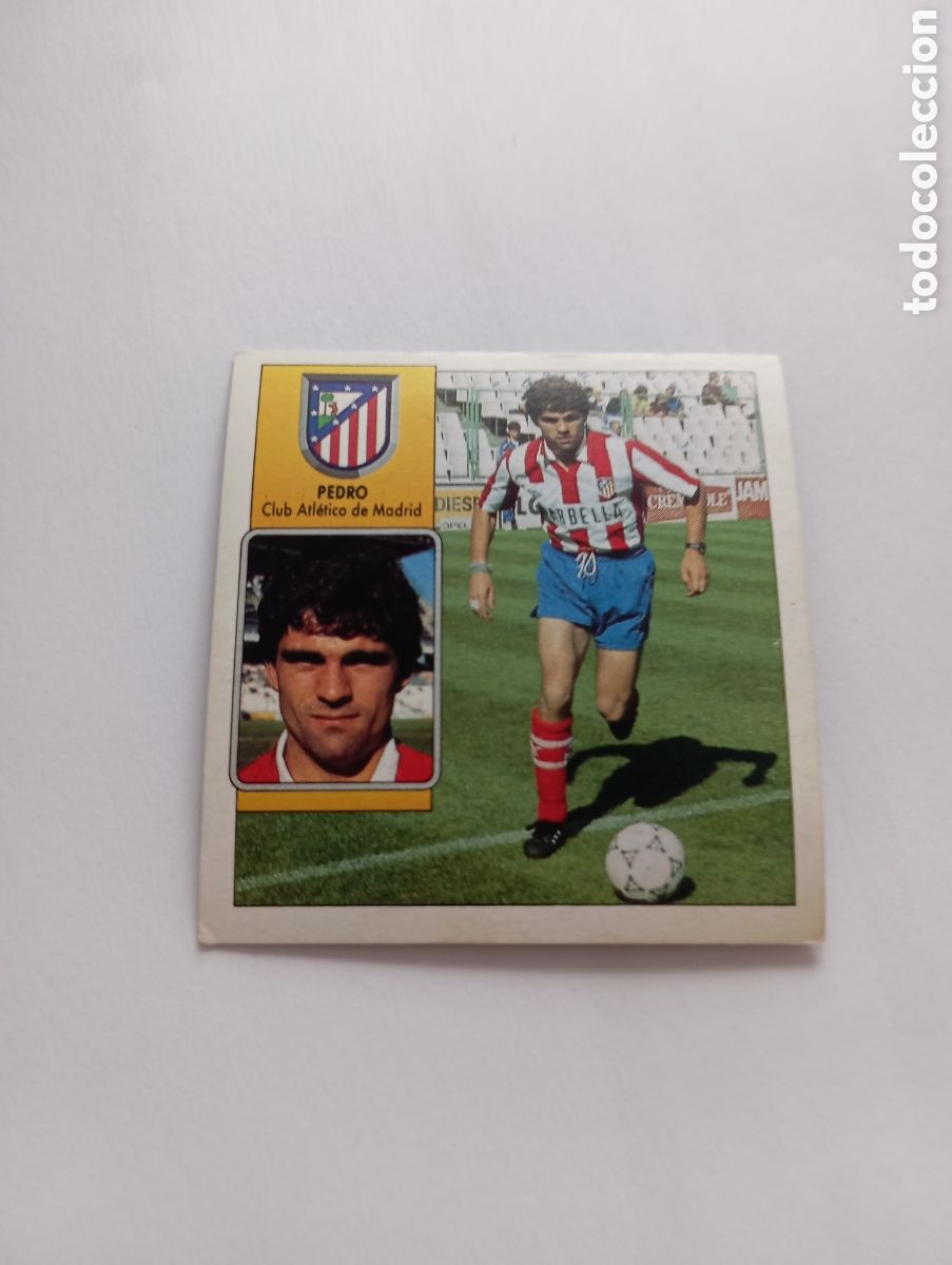 Cromos de F&uacute;tbol: PEDRO Atl&eacute;tico de Madrid Liga Este 1992 1993 Panini 92 93 NUEVO SIN PEGAR