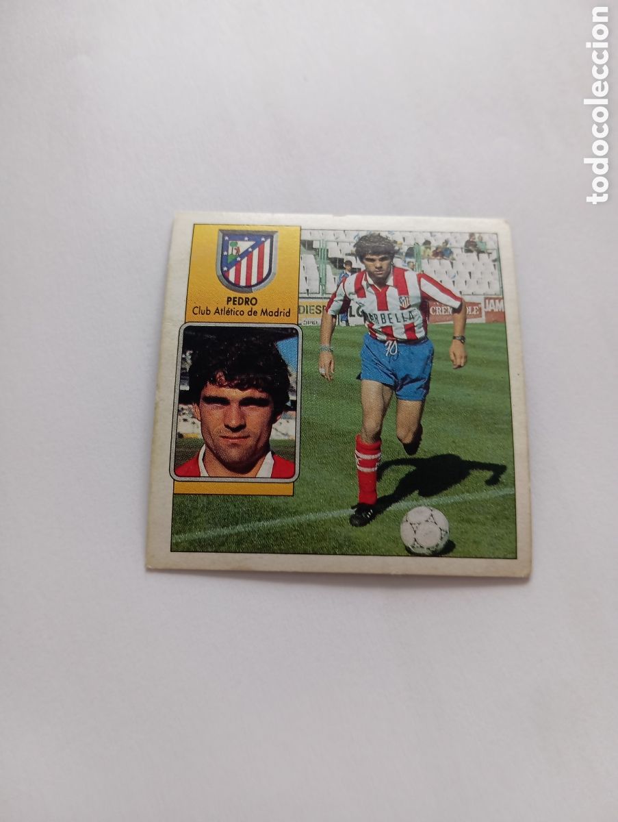 Cromos de F&uacute;tbol: PEDRO Atl&eacute;tico de Madrid Liga Este 1992 1993 Panini 92 93 NUEVO SIN PEGAR