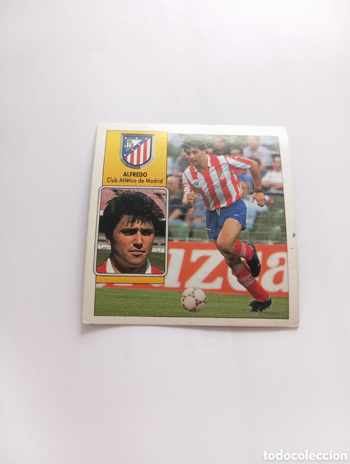 Cromos de F&uacute;tbol: ALFREDO Atl&eacute;tico de Madrid Liga Este 1992 1993 Panini 92 93 NUEVO SIN PEGAR