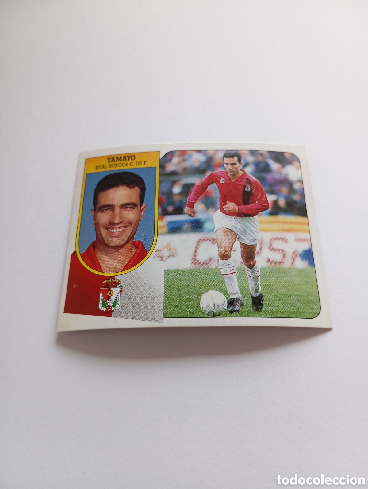 Cromos de F&uacute;tbol: TAMAYO Burgos Liga Este 1991 1992 CART&Oacute;N Panini 91 92 RECUPERADO