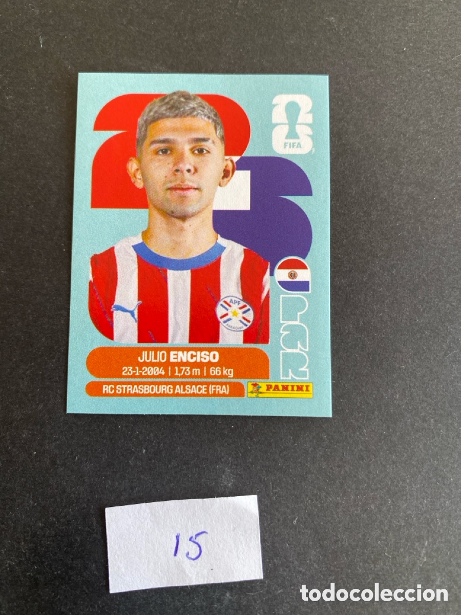 Cromos de F&uacute;tbol: Cromo Paraguay Mundial 26 N* 15 nuevo
