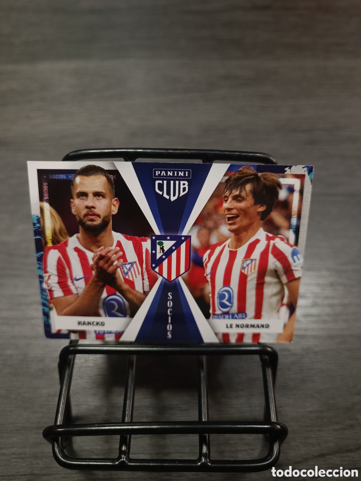 Cromos de F&uacute;tbol: Panini Club Socios Atleti