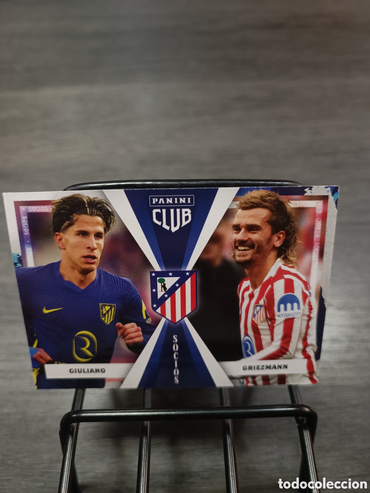 Cromos de F&uacute;tbol: Panini Club Socios Atleti