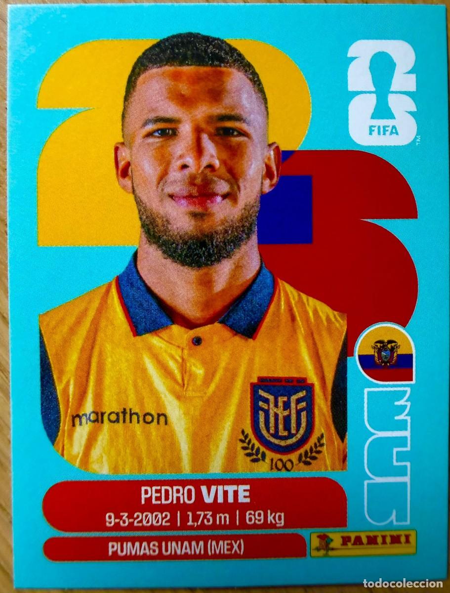 Cromos de F&uacute;tbol: ECU12 ECU 12 PEDRO VITE ECUADOR MUNDIAL FIFA WORLD CUP 2026 26 STICKER CROMO PANINI SIN PEGAR