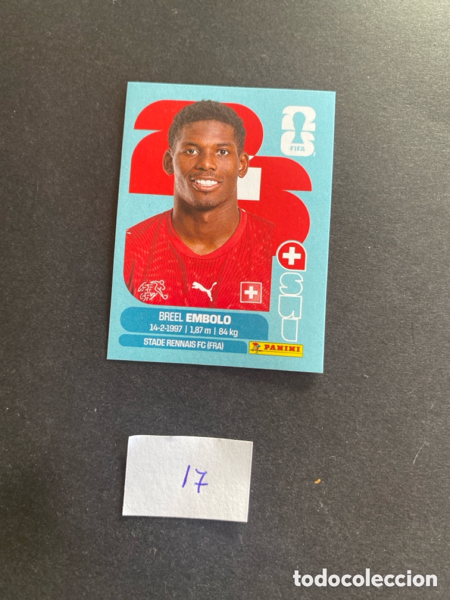 Cromos de F&uacute;tbol: Cromo Suiza Mundial 26 N* 17 nuevo