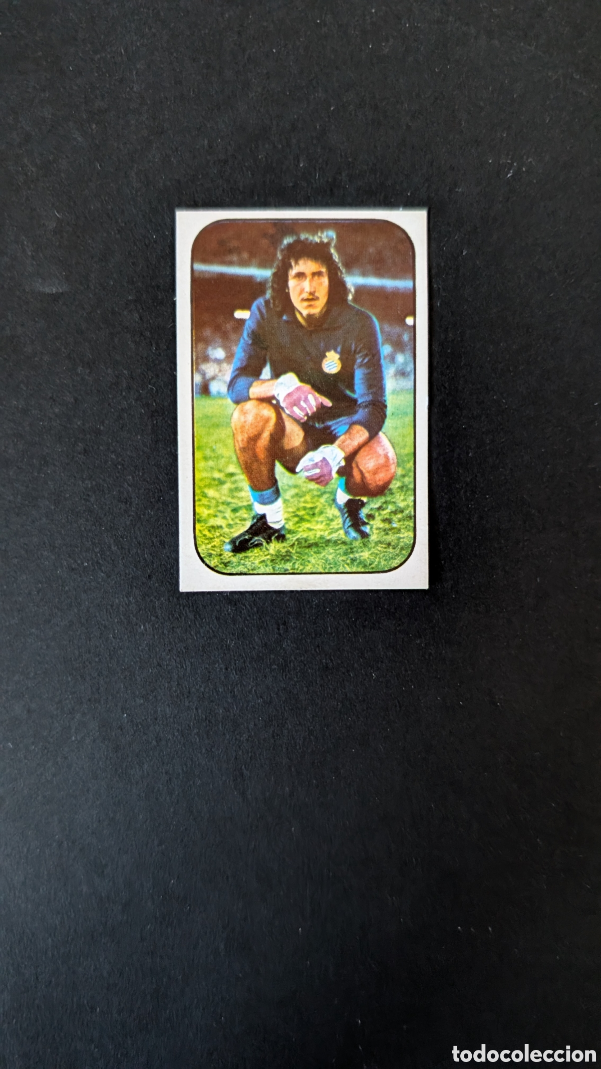Cromos de F&uacute;tbol: GATO FERNANDEZ R. C. D. ESPA&Ntilde;OL FICHAJE 23 LIGA ESTE 1976 1977 76 77 DESPEGADO RECUPERADO