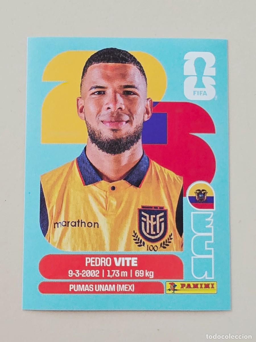 Cromos de F&uacute;tbol: ECU 12 Pedro Vite, Ecuador, Panini FIFA World Cup Mundial 2026 Sticker