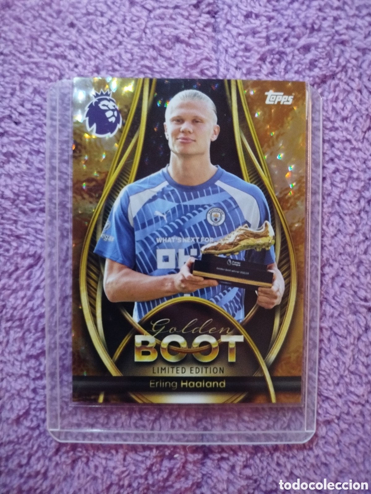 Cromos de F&uacute;tbol: Cromo de futbol. Haaland