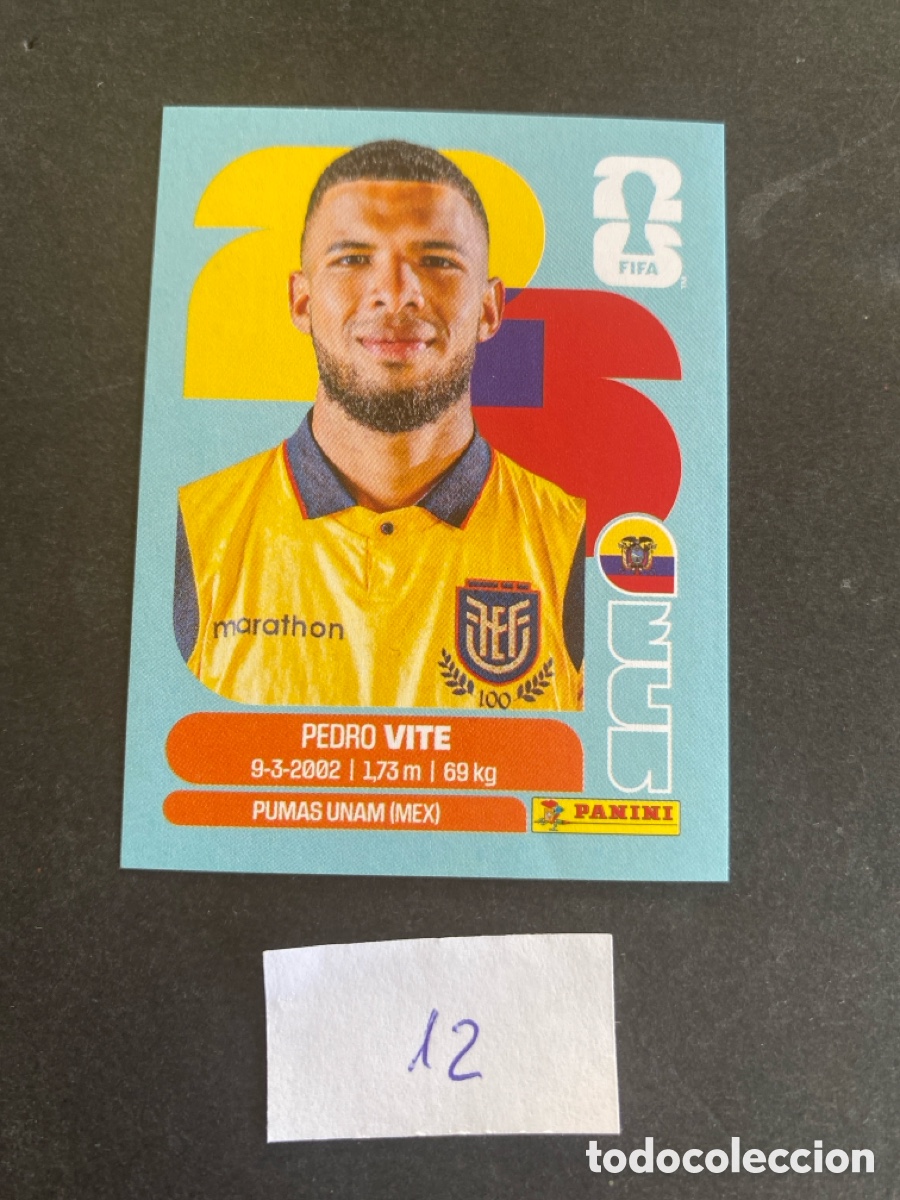 Cromos de F&uacute;tbol: Cromo Ecuador Mundial 2026 N* 12 nuevo
