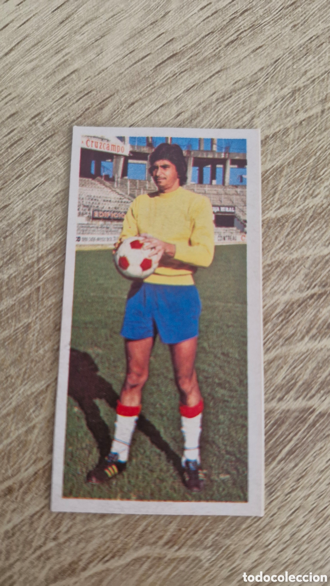 Cromos de F&uacute;tbol: LIGA ESTE 75/76 1975/1976 COLOCA GUSTAVO FERNANDEZ SEVILLA EDICIONES ESTE