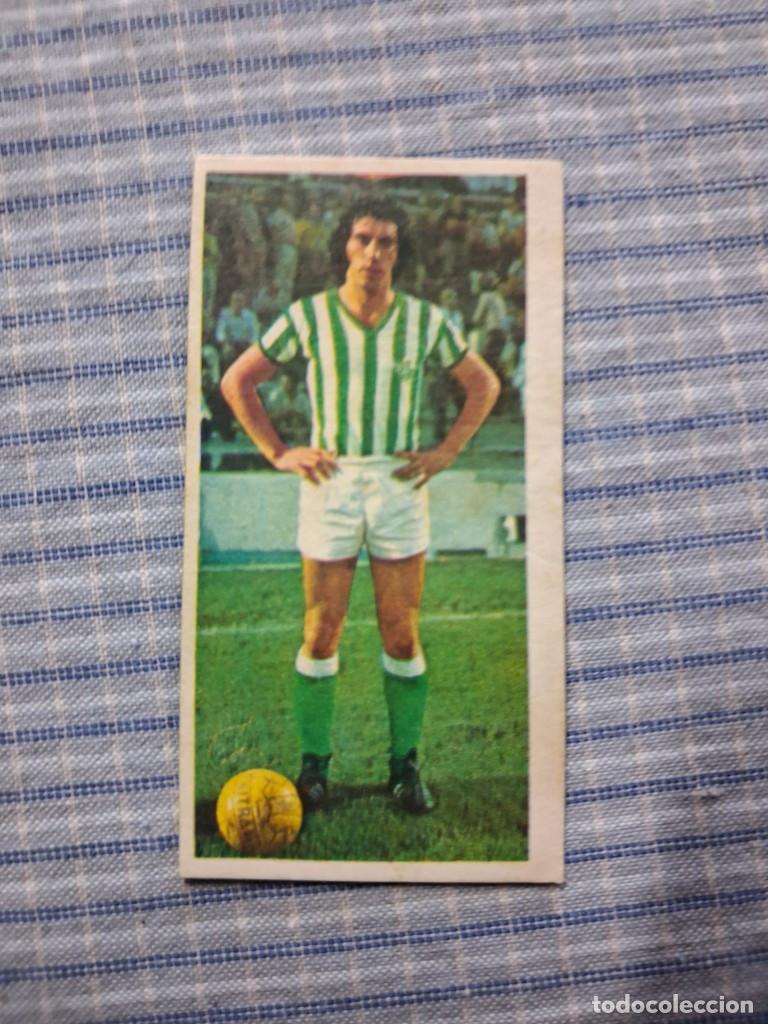 Figurine di Calcio: Cromo Liga 75/76. Ediciones Este. Cui&ntilde;as. Real Betis. Sin pegar. Estado ver imagen