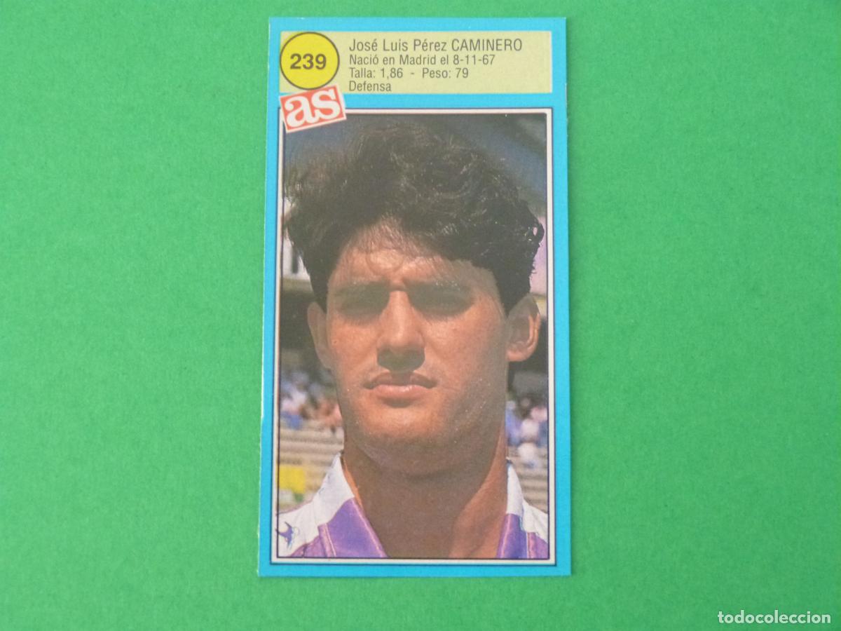 Cromos de F&uacute;tbol: CROMO FUTBOL CAMINERO REAL VALLADOLID RECORTADO N&ordm; 239 ASES DE LA LIGA 1990-1991/90-91 DIARIO AS