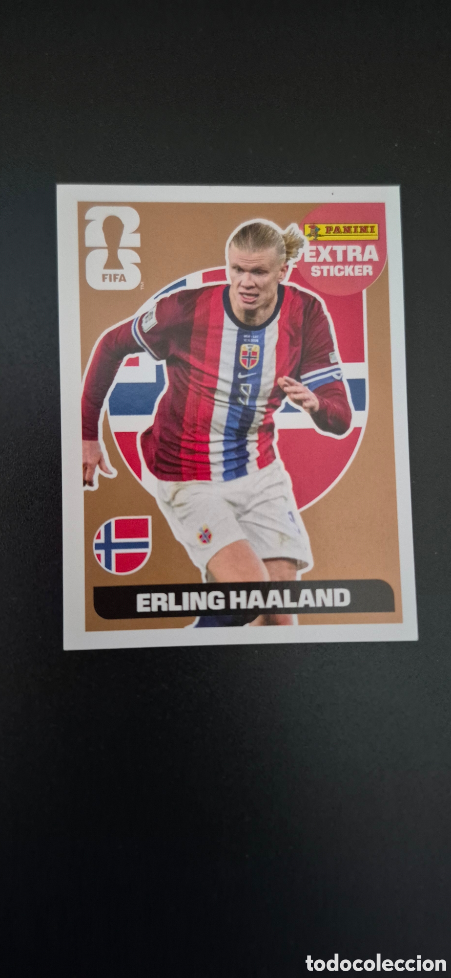 Cromos de F&uacute;tbol: CROMO HAALAND BRONCE NUEVO
