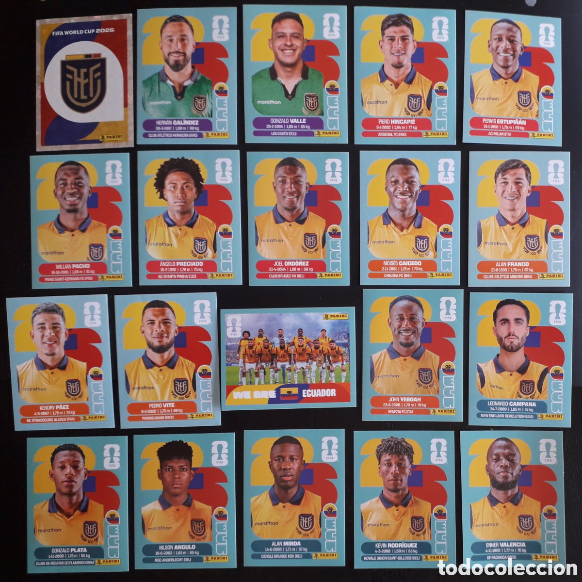 Cromos de F&uacute;tbol: 20 CROMOS ECUADOR, EQUIPO COMPLETO MUNDIAL F&Uacute;TBOL 2026 FIFA WORLD CUP PANINI SIN PEGAR, FOTOS