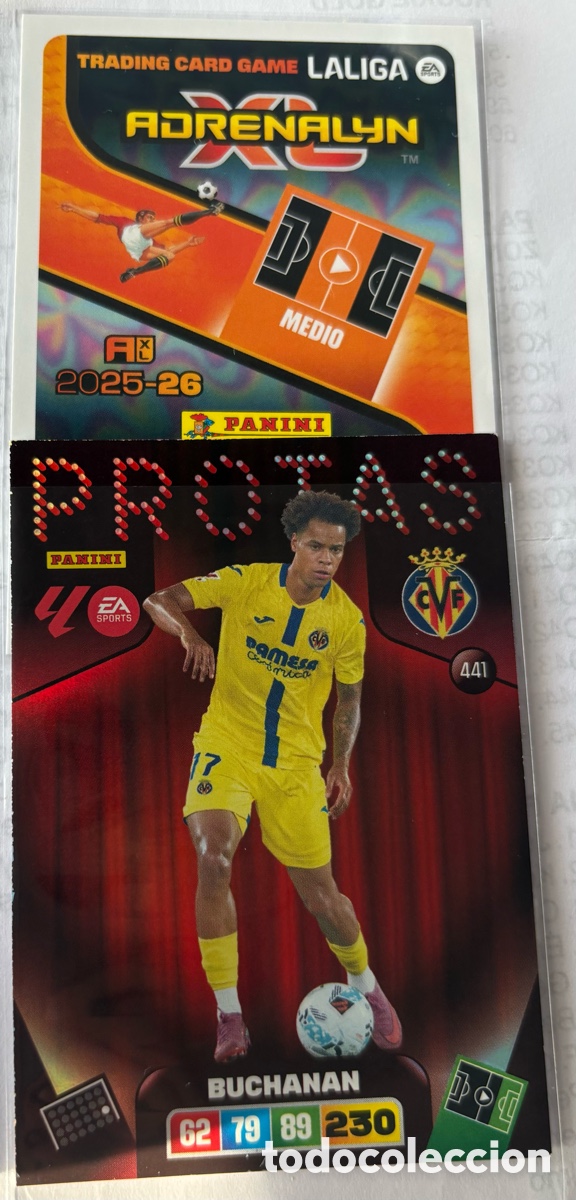Cromos de F&uacute;tbol: ADRENALYN 25-26 protas 441