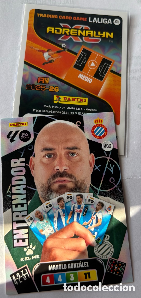 Cromos de F&uacute;tbol: ADRENALYN 25-26/ 486 ENTRENADOR