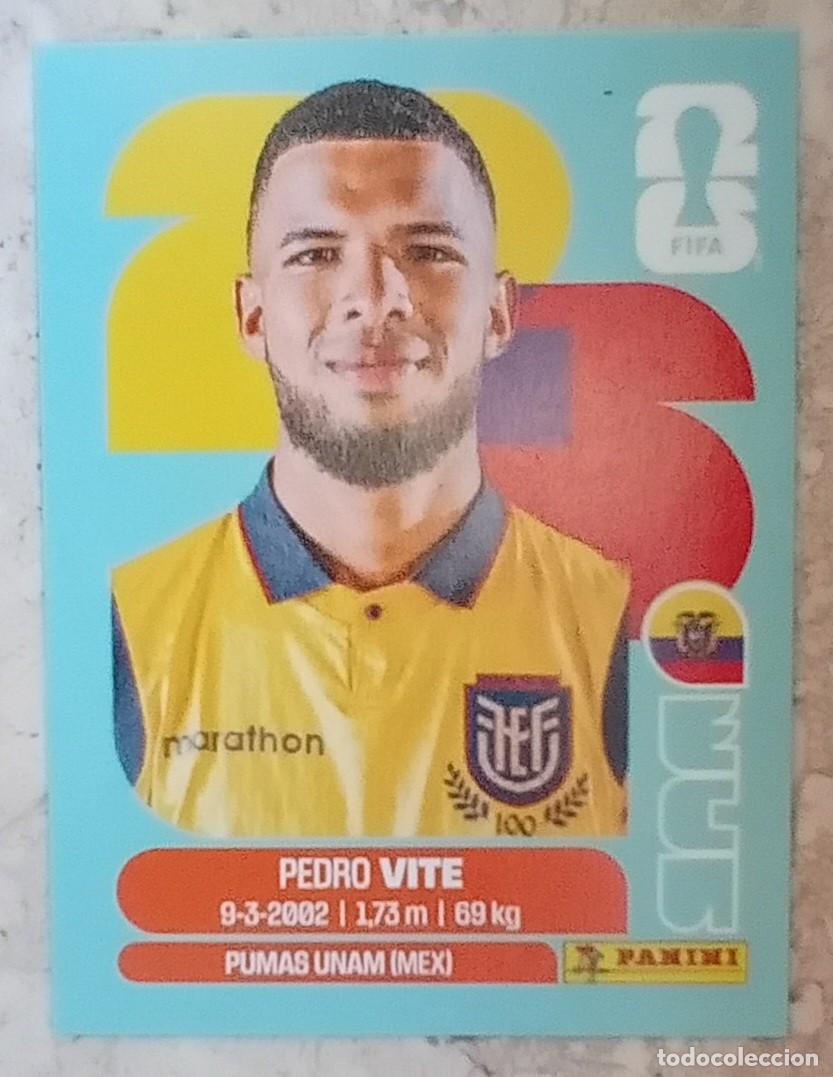 Cromos de F&uacute;tbol: Figurina Panini 2026 Cromo Fifa World Cup Usa Mundial 2026 Pedro Vite Ecuador n ECU 12