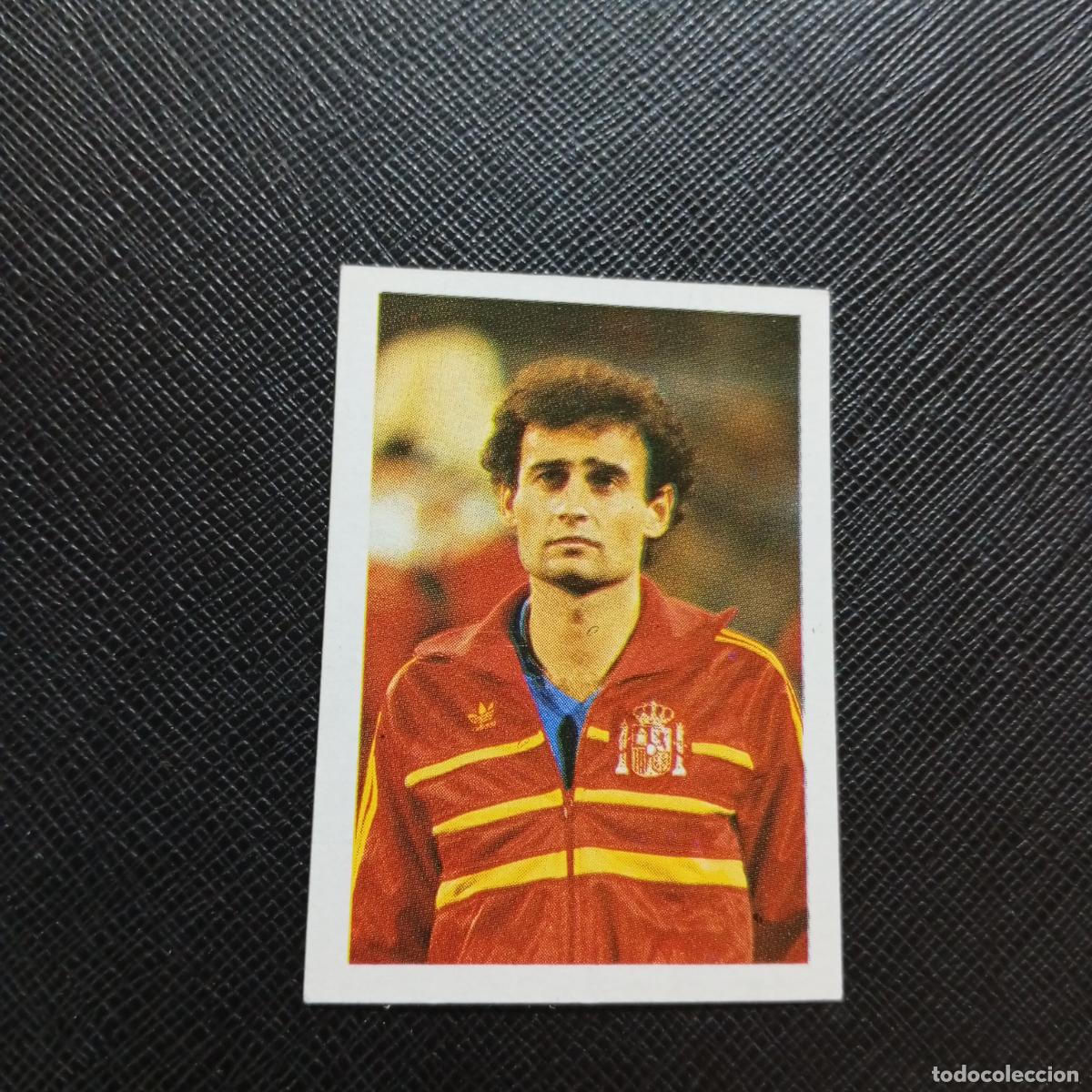 Cromos de F&uacute;tbol: 70 GALLEGO ESPA&Ntilde;A FANS 1984 EUROCOPA FRANCIA CROMO FUTBOL 84 - SIN PEGAR - A101 PG487