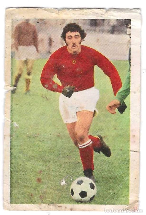 Cromos de F&uacute;tbol: FOOTBALL EN MATCH -- N&ordm; 194 ROBERTO ZYWICA