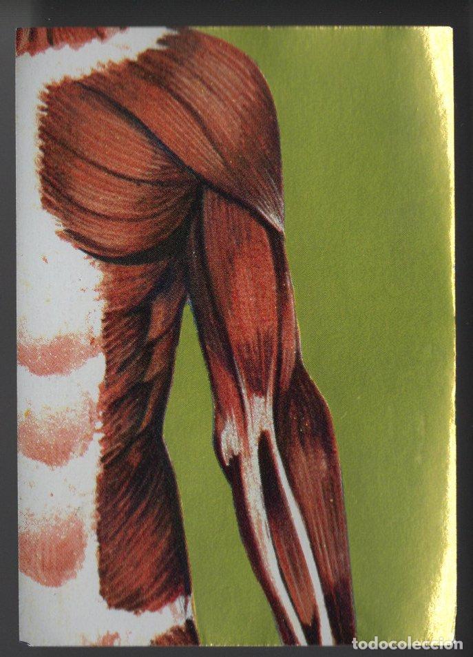 Football Stickers: EL TRIUNFO DE LA VELOCIDAD - CROMO N&ordm; 96 - FLAN POTAX 1969 - CROMOS METALIZADOS