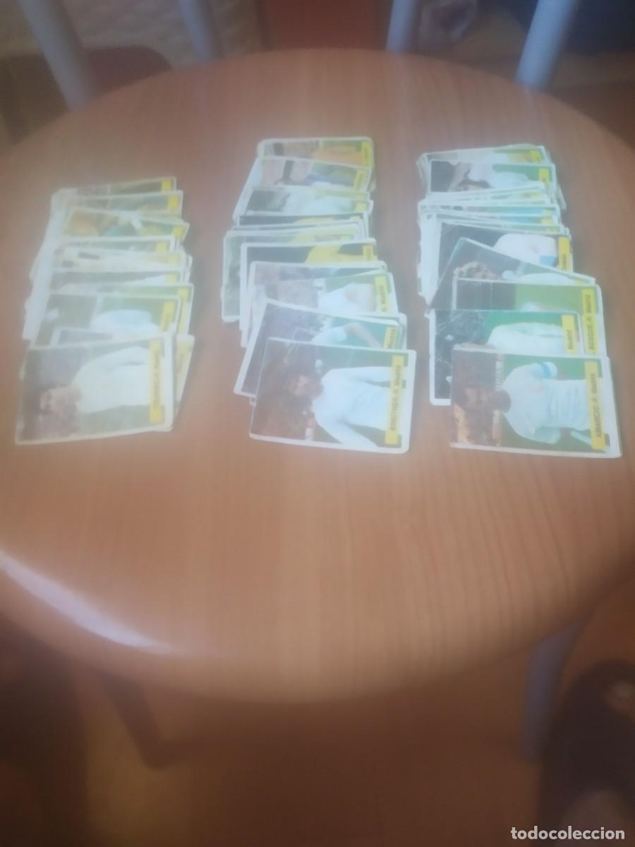 Cromos de F&uacute;tbol: LOTE 77 CROMOS SIN REPETIR EDITORIAL FINI 1975-76 LIGA 75-76