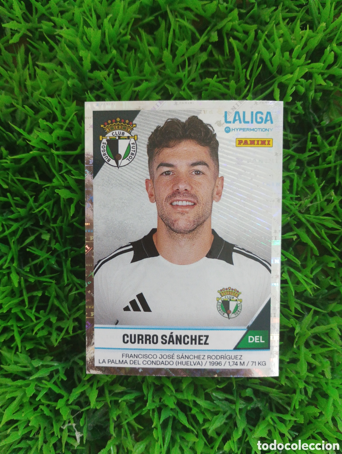 Cromos de F&uacute;tbol: Curro Sanchez Burgos Liga Hypermotion 24-25 # 56