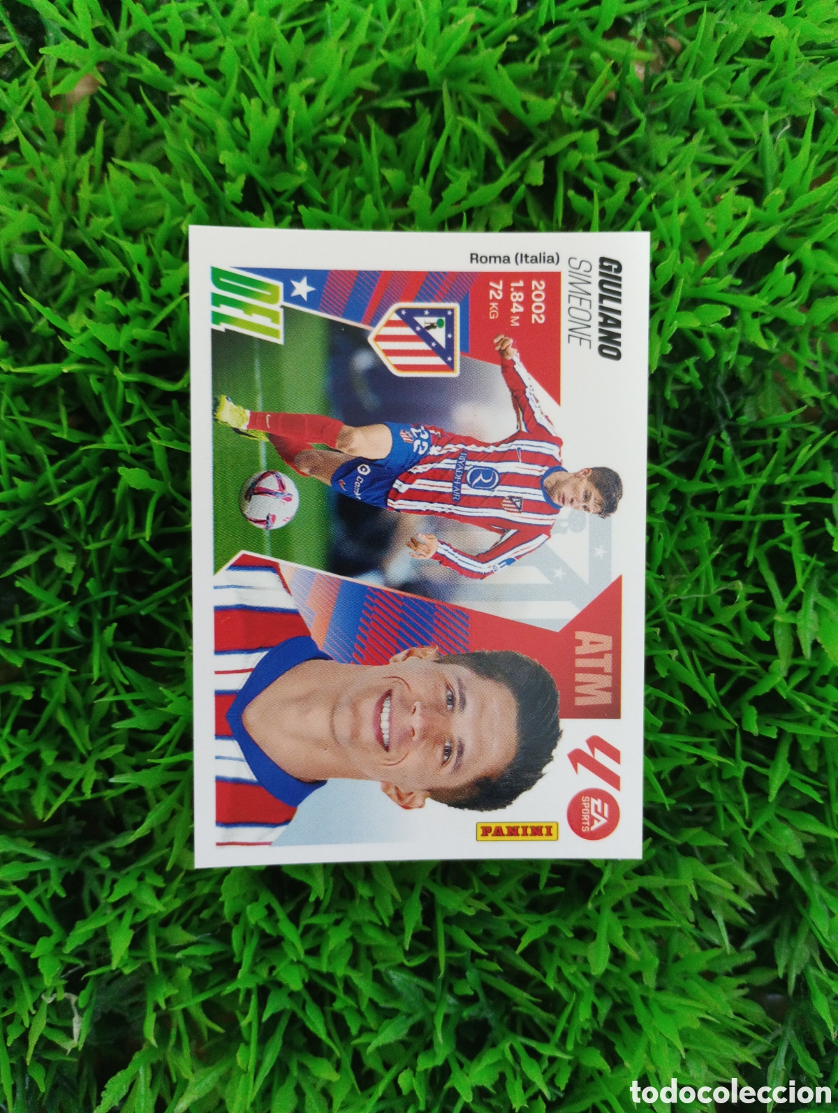 Cromos de F&uacute;tbol: Giuliano Atletico De Madrid Liga Este 25-26 # 17 NUNCA PEGADO
