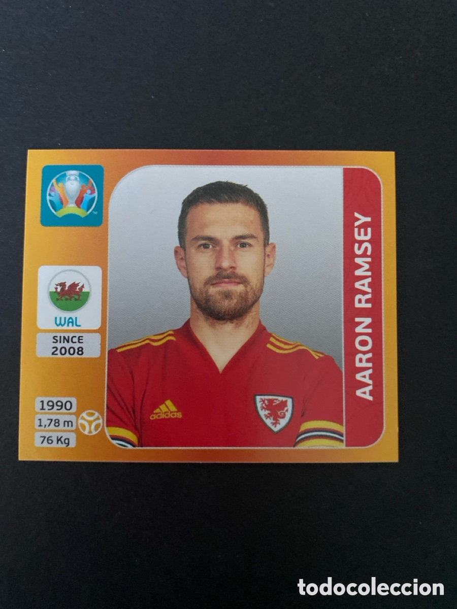 Cromos de F&uacute;tbol: Cromo Euro 2020 Pais de Gal&eacute;s N* 113