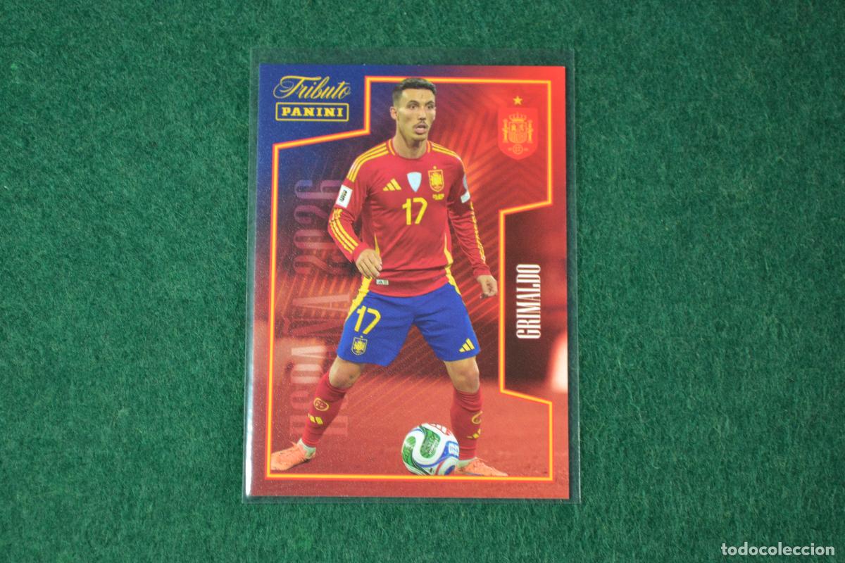 Cromos de F&uacute;tbol: PANINI TRIBUTO SELECCION ESPA&Ntilde;OLA 2010-2026 - 49 GRIMALDO (LEVERKUSEN)